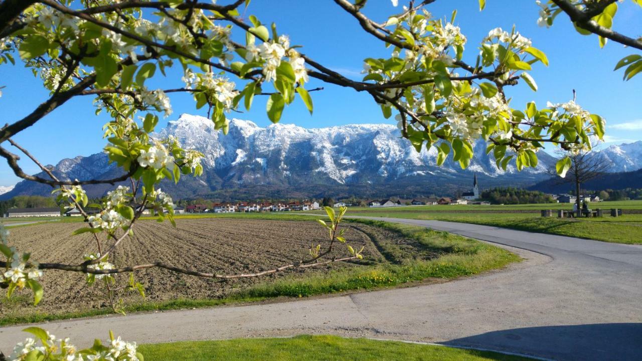 Vor Den Toren Salzburgs Wals-Siezenheim Eksteriør billede